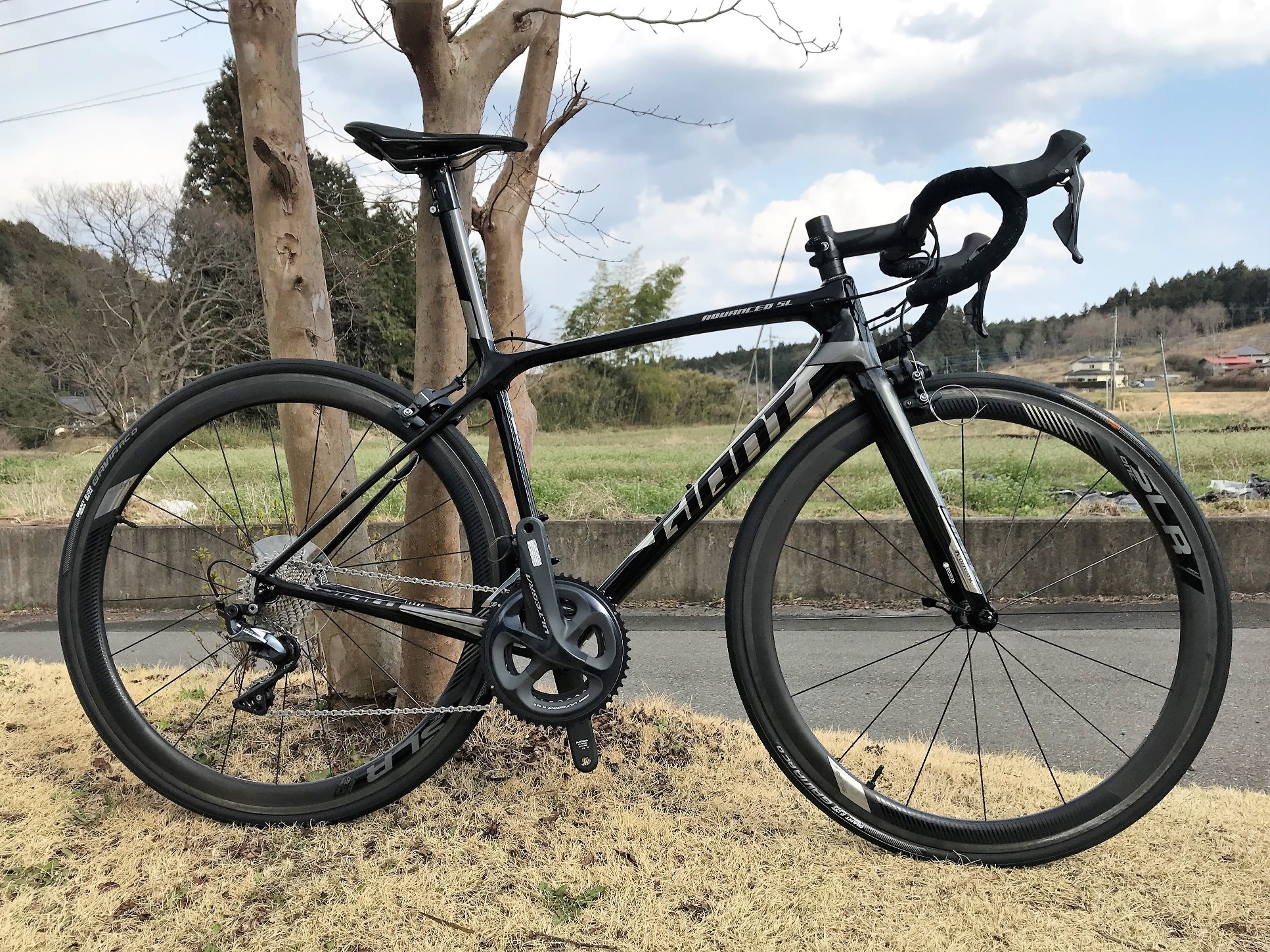 giant tcr advanced sl2